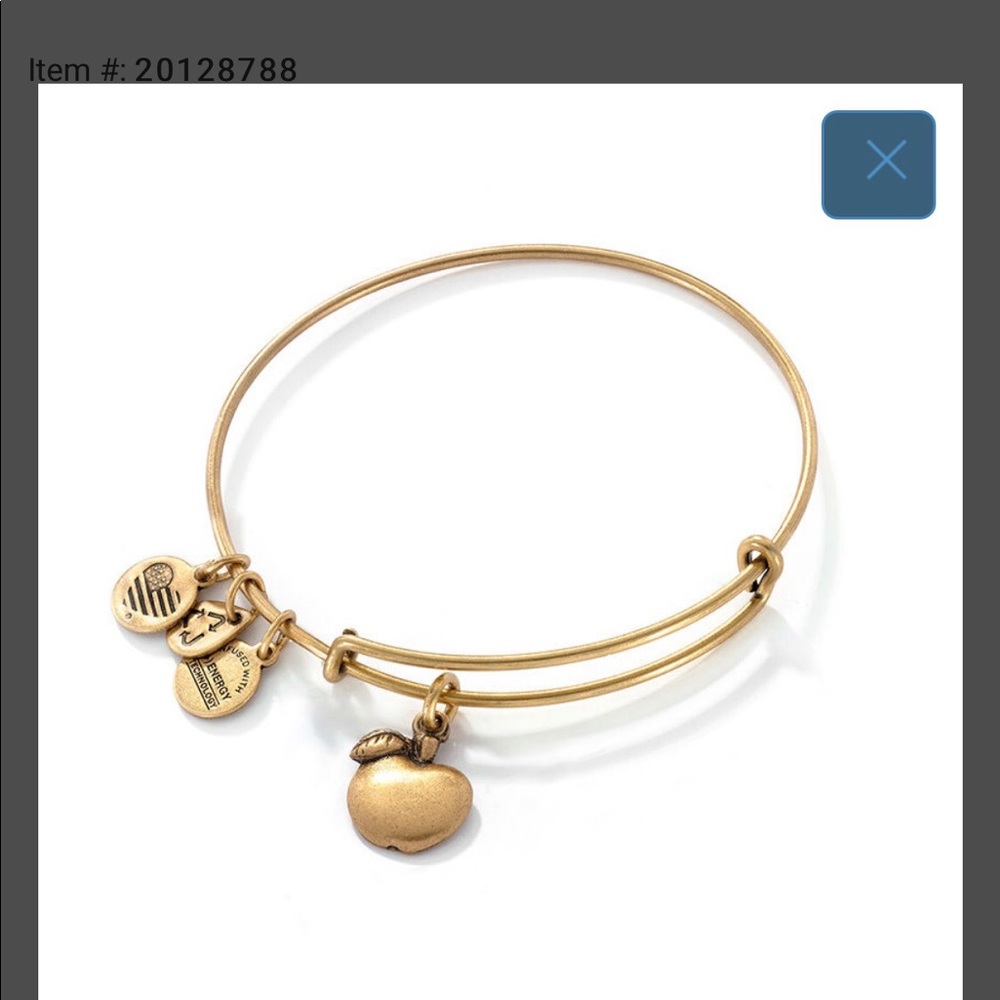ALEX AND ANI  APPLE 🍎